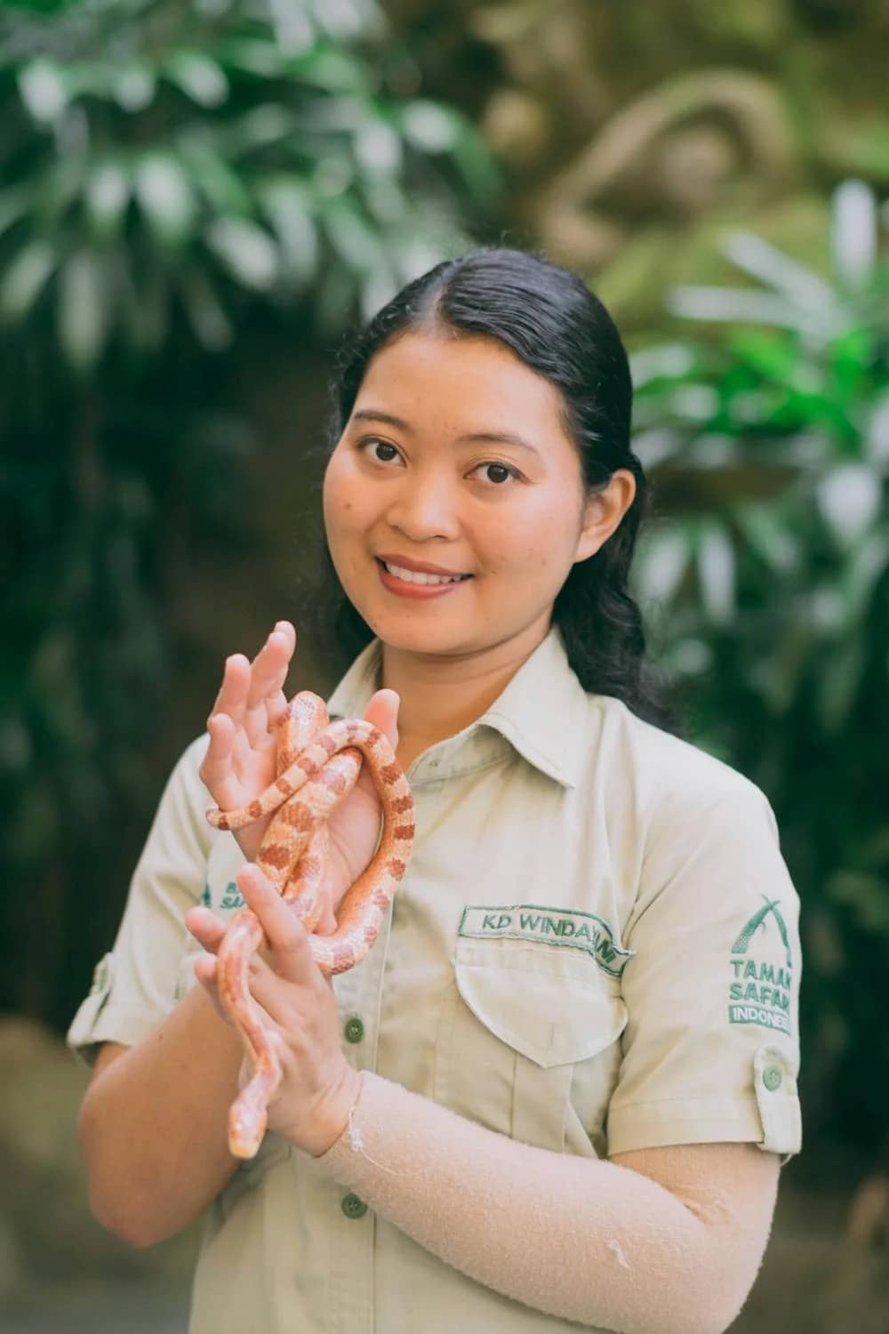 Veterinario Especializado en Reptiles